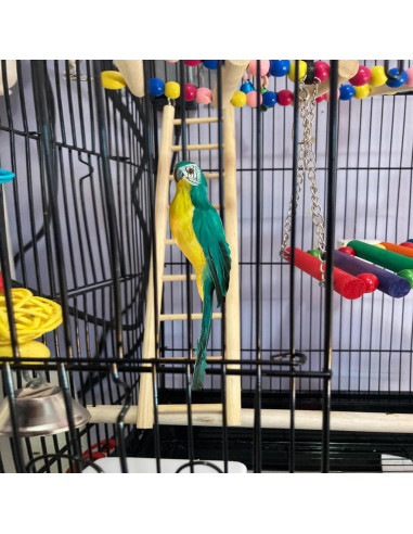 Escalera de Madera Natural para Aves 3pcs LWINGFLYER 6-8 Pasos