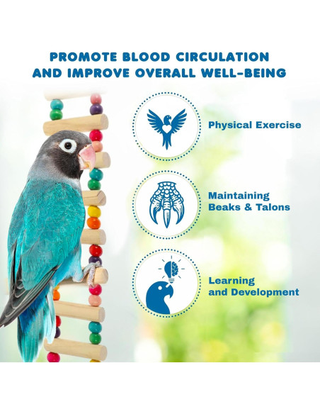 Puente de Escalera para Aves SunGrow 50 x 7.6 cm Madera Cruda