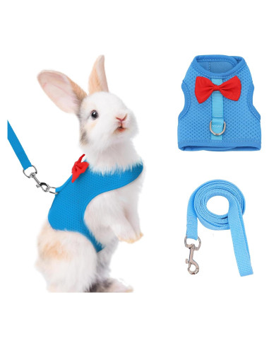 Conjunto Arnés y Correa AIITLE para Conejos y Mascotas Pequeñas