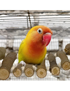 Escalera para Jaula de Aves SIMENA 12.7cm Madera Natural 2