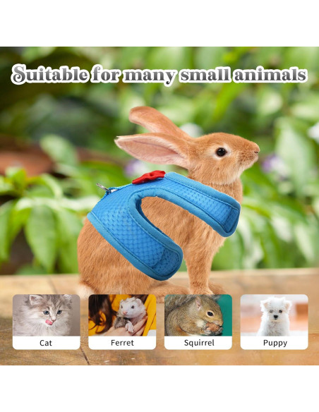 Conjunto Arnés y Correa AIITLE para Conejos y Mascotas Pequeñas