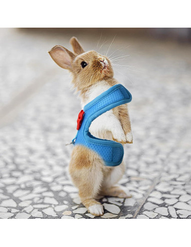 Conjunto Arnés y Correa AIITLE para Conejos y Mascotas Pequeñas
