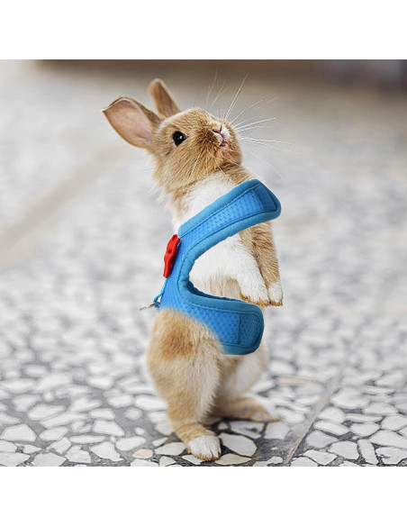 Conjunto Arnés y Correa AIITLE para Conejos y Mascotas Pequeñas