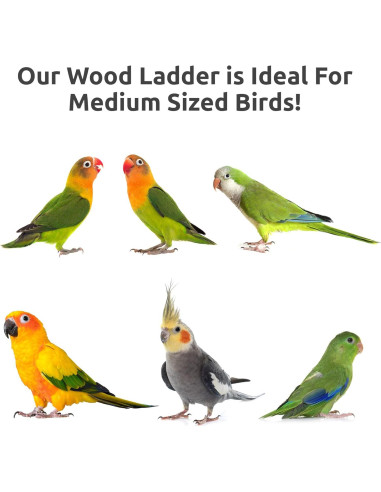 Escalera para Jaula de Aves SIMENA 12.7cm Madera Natural