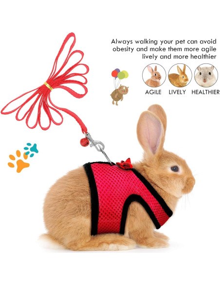 Arnés para Cobayas y Conejos SATINIOR con Correa y Campana