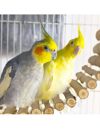 Escalera para Jaula de Aves SIMENA 12.7cm Madera Natural