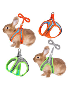 Juego de Arnés y Correa para Conejos PETKNOWS - Reflectante