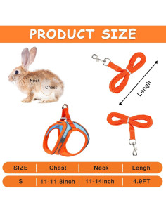 Juego de Arnés y Correa para Conejos PETKNOWS - Reflectante 2