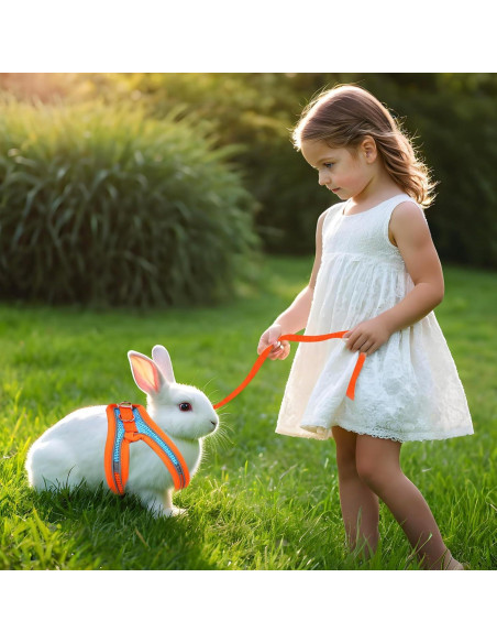 Juego de Arnés y Correa para Conejos PETKNOWS - Reflectante Juego de Arnés y Correa para Conejos PETKNOWS - Reflectante