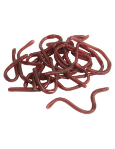 24 Piezas Gusanos de Tierra Falsos SBYURE 17.5 cm para Halloween