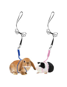Arnés y Correa Ajustable GOMICRAFT para Animales Pequeños