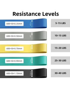 Bandas de Ejercicio de Resistencia WSAKOUE - Juego de 5 Piezas 2
