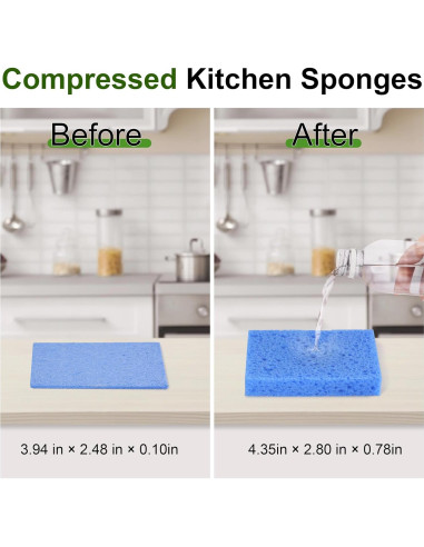 15 Esponjas de Celulosa TaShow Ecológicas para Cocina 10x6.3cm