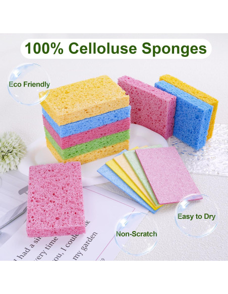 15 Esponjas de Celulosa TaShow Ecológicas para Cocina 10x6.3cm