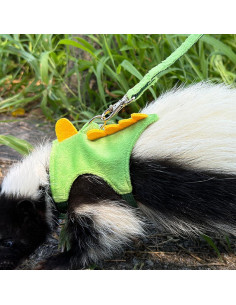 Arnés y Correa para Hurones Anelekor Dinosaurio Verde 2