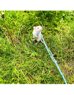 Paquete de 3 Arnés Ajustable para Hámster y Mascotas Pequeñas 2
