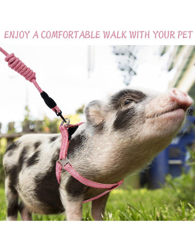 Arnés Ajustable para Mini Cerdo YeeBeny Rosa Tamaño M