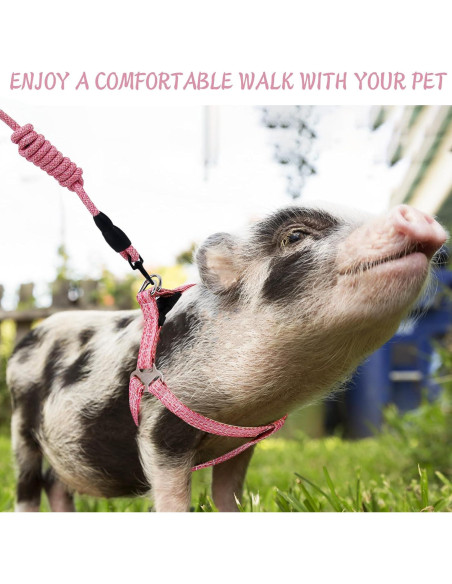 Arnés Ajustable para Mini Cerdo YeeBeny Rosa Tamaño M