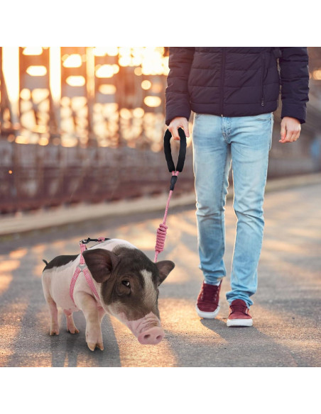 Arnés Ajustable para Mini Cerdo YeeBeny Rosa Tamaño M