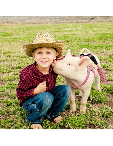 Arnés Ajustable para Mini Cerdo YeeBeny Rosa Tamaño M