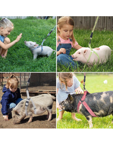 Arnés Ajustable para Mini Cerdo YeeBeny Rosa Tamaño M