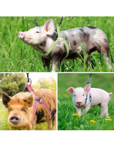 Arnés Ajustable para Mini Cerdo YeeBeny Rosa Tamaño M
