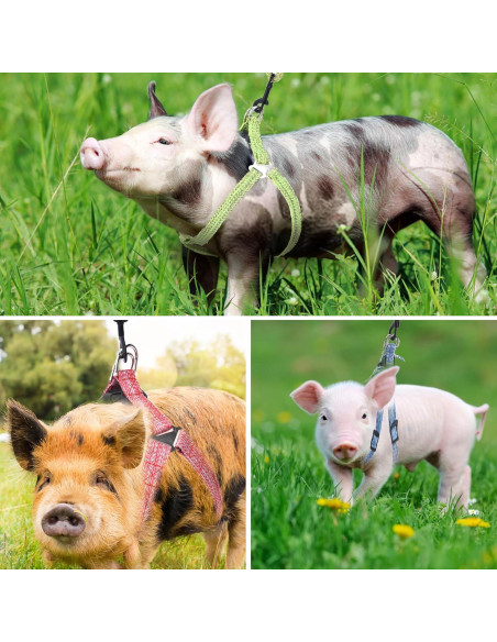 Arnés Ajustable para Mini Cerdo YeeBeny Rosa Tamaño M