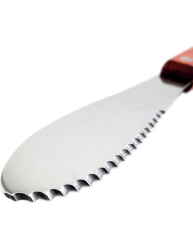 Espátula Ancha de Acero Inoxidable Wall2Wall 20.32 cm Set de 4