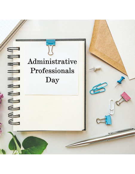 120 Mini Clips de Carpeta OWLKELA 15mm Multicolor Resistente