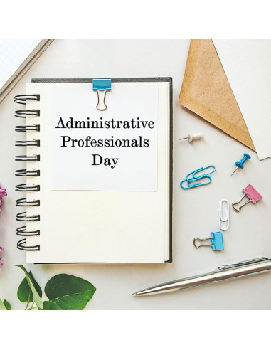 120 Mini Clips de Carpeta OWLKELA 15mm Multicolor Resistente