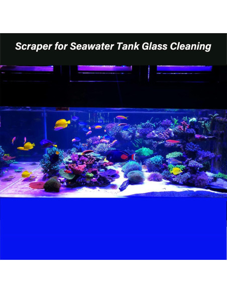 Rascador de Algas para Acuario Vimvins con 10 Cuchillas Reemplazables