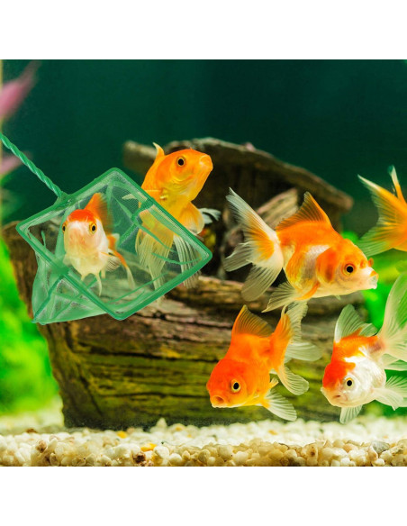 Conjunto de 3 Redes de Acuario DAGUANZHI Nylon Verde 7.62-15.24cm