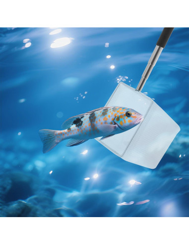 Red de Acuario Pequeña Cuadrada LIQWEI con Mango Extensible