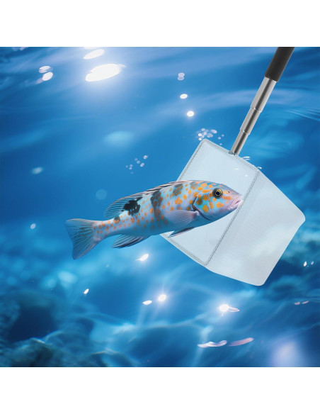Red de Acuario Pequeña Cuadrada LIQWEI con Mango Extensible