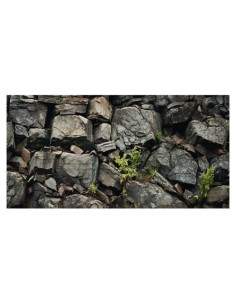 Fondo de Acuario Dtekoj 120x60cm Decoración Natural