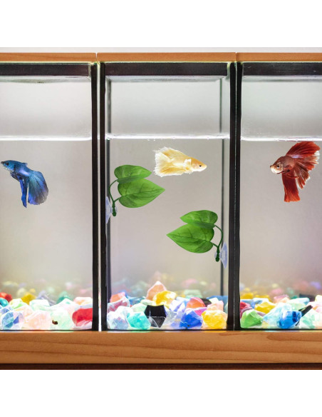 Almohadilla de Hoja URATOT para Peces Betta - 4 Piezas Almohadilla de Hoja URATOT para Peces Betta - 4 Piezas