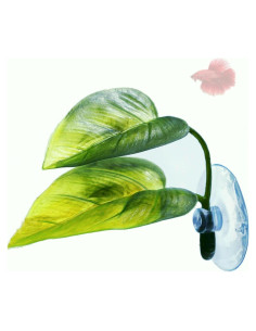 Cama Suave para Betta DODO con Ventosa - Refugio Natural 1pieza