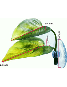 Cama Suave para Betta DODO con Ventosa - Refugio Natural 1pieza 2