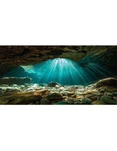 Fondo de Acuario 120x45 cm Pinpai Poliester Duradero 2