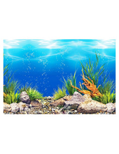 Fondo Marino Amalong para Acuario 63.5x38.1 cm Decorativo