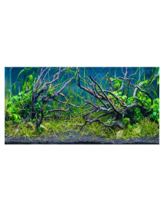Fondo de Acuario Vinilo AWERT 120x60 cm Tropical