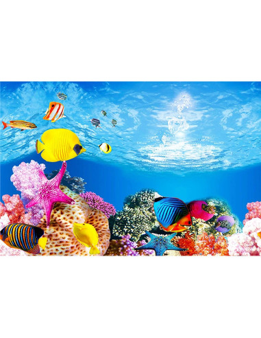 Fondo Marino Amalong para Acuario 63.5x38.1 cm Decorativo