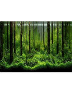 Fondo de Acuario 121.9x46cm Yosooa PVC Autoadhesivo 2