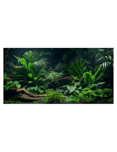 Fondo de Acuario Dizifinn 90x45 cm, Planta Acuática y Rama