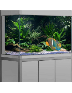 Fondo de Acuario Dizifinn 90x45 cm, Planta Acuática y Rama 2