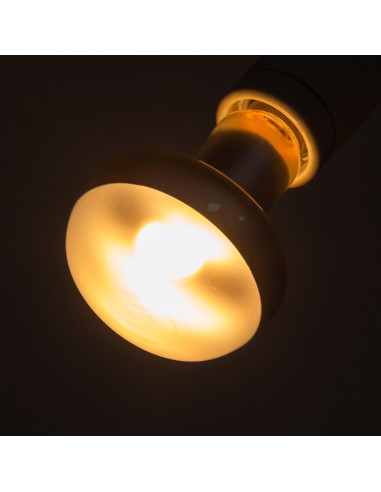 Lámpara de Calor 100W REPTI ZOO para Reptiles y Pollos