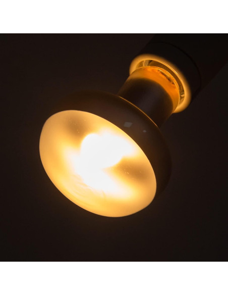 Lámpara de Calor 100W REPTI ZOO para Reptiles y Pollos