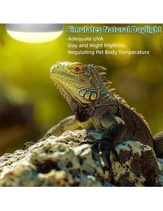 Lámpara de Calor para Reptiles DaToo 100W UVA 2 Paquete 2