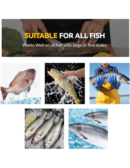 Removedor de Escamas de Pescado Inoxidable SUPERBEAR 22.1 cm