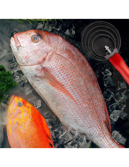Cepillo Removedor de Escamas de Pescado Acero Inoxidable 2 Pzas